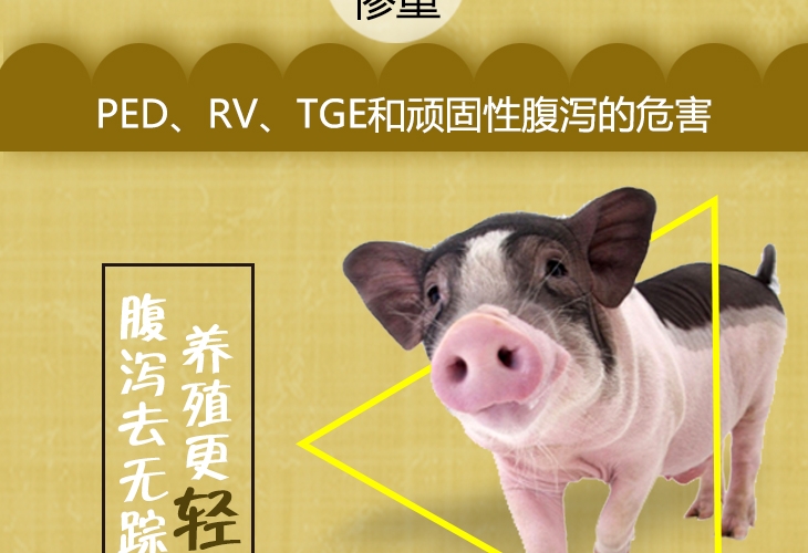 传染性胃肠炎,轮状病毒的克星 华赛动保官方旗舰店 金猪商城