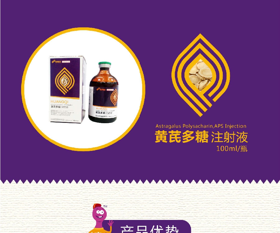 地邦100ml黄芪多糖注射液