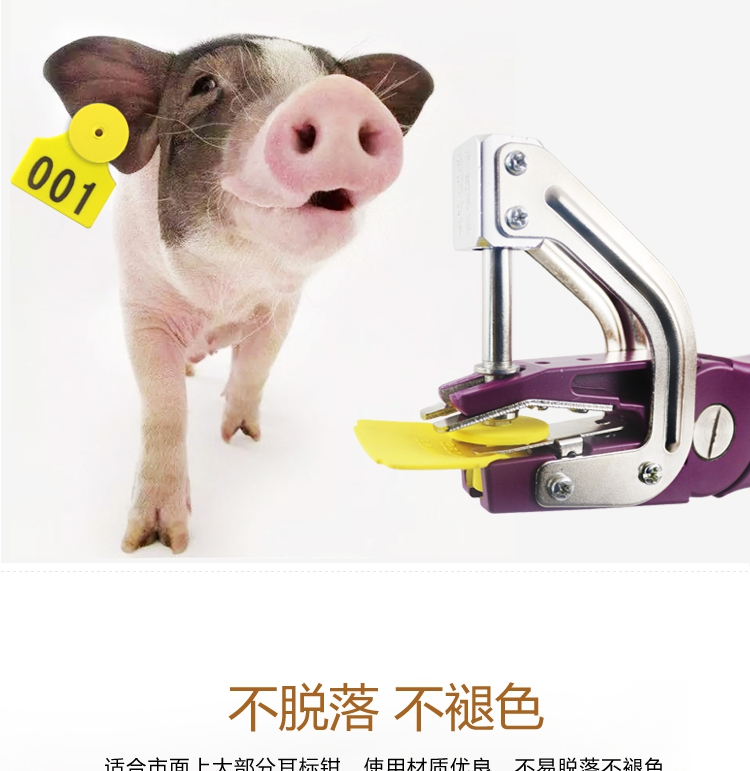 窝窝猪 猪耳标 猪用无字空白耳标牌 蓝色